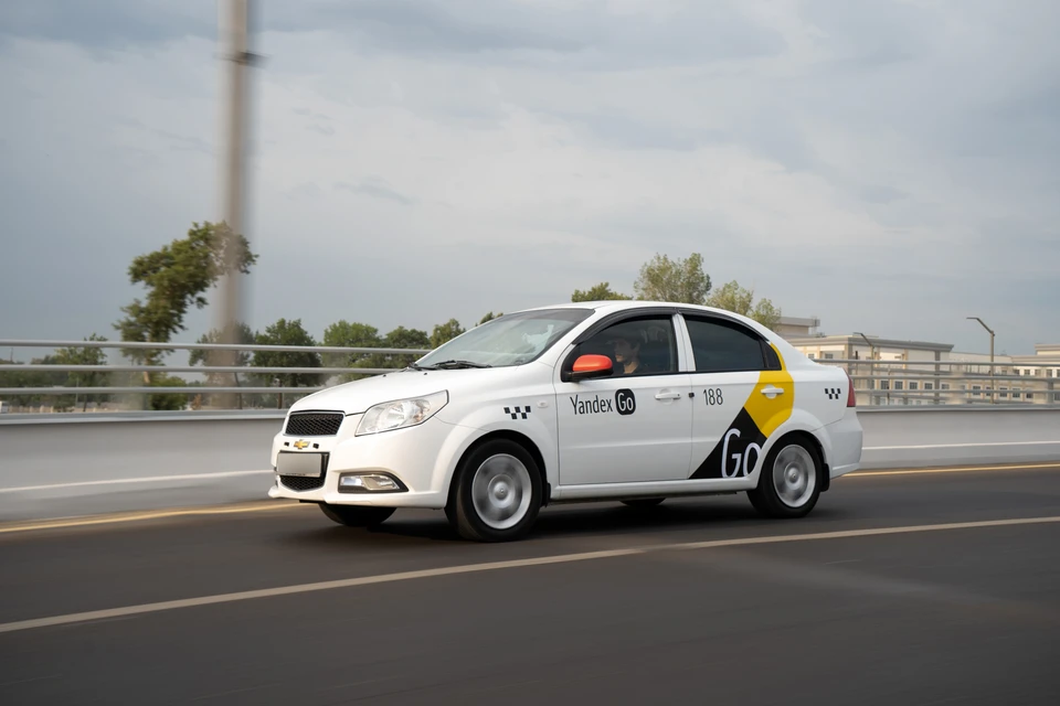 Professional Taxi Haydovchisi